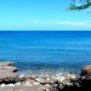 https://paradise-bay.comcaribbean.com